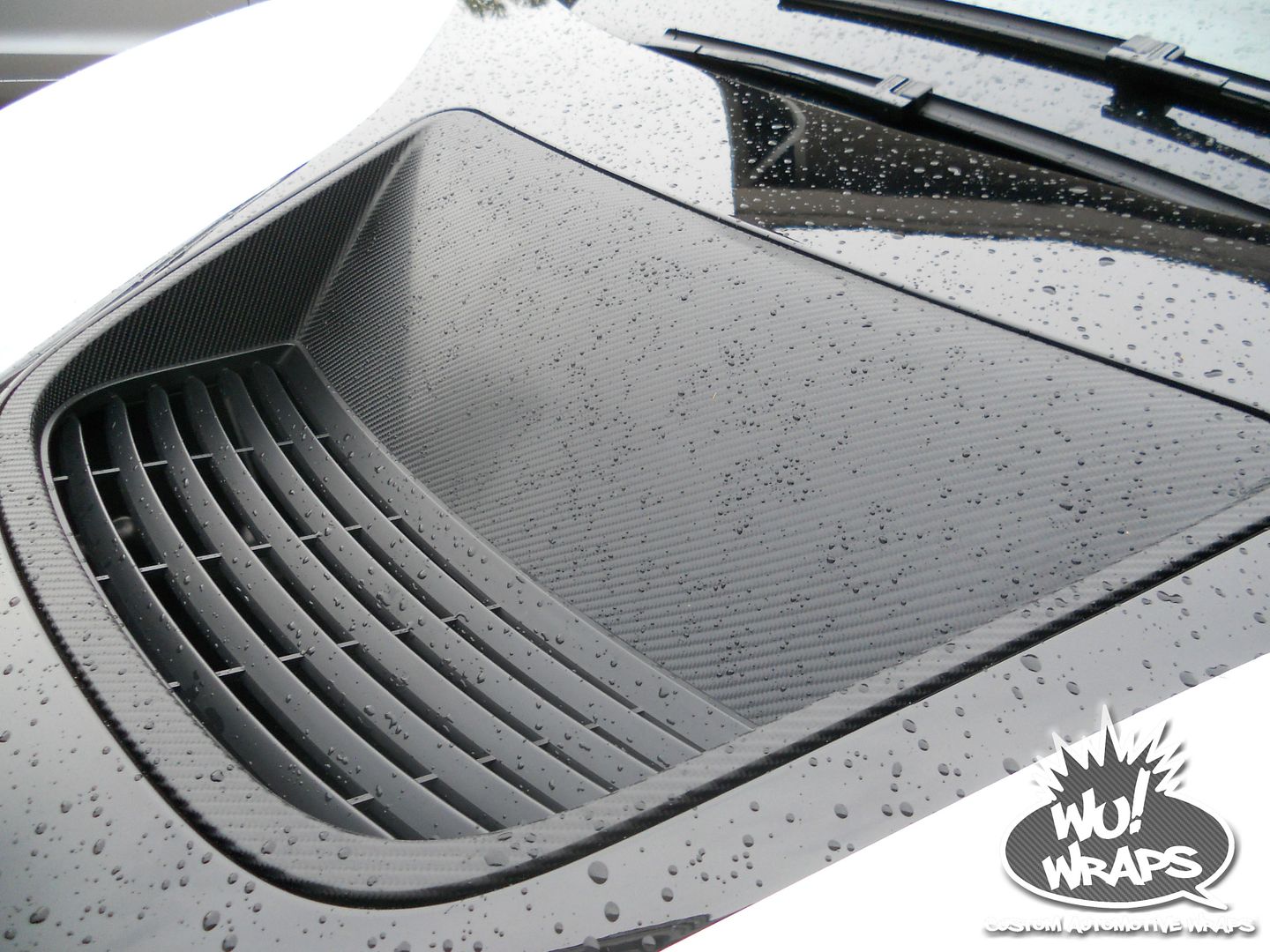 BMW I8 Hood Scoop Front Lip Licnese Plate Trim Vvivid Vinyl 4D CF Vinyl